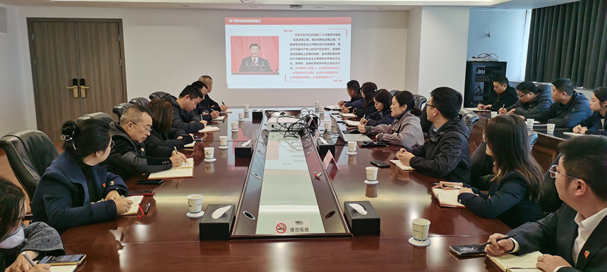集團黨委委員、副總經(jīng)理賀維維同志講授專題黨課